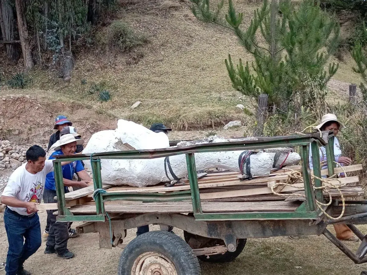 Cortejo y Traslado por la Trocha Rural