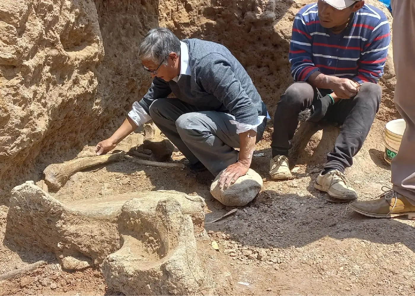 Comuneros e investigadores excavando restos fósiles en Candaduyoc 2024