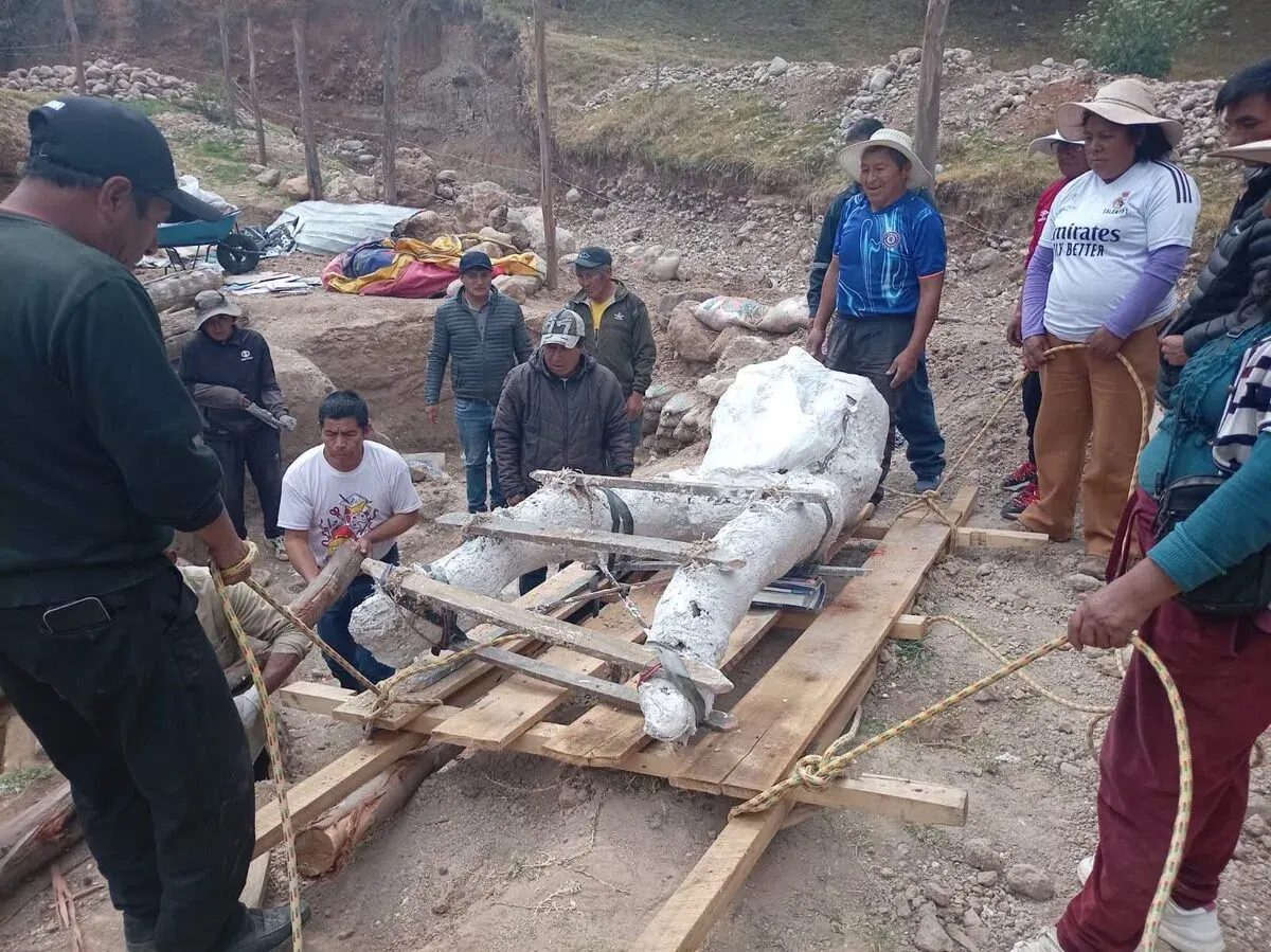 Comuneros de Candaduyoc trasladando el cráneo fósil de 500 kg en parihuelas de eucalipto